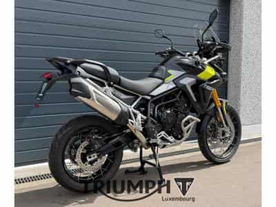 Triumph Tiger TIGER 900 RALLY PRO (2026) - Photo 5