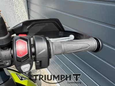 Triumph Tiger TIGER 900 RALLY PRO (2026) - Photo 8