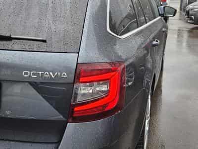Skoda Octavia BREAK TDI DSG (2019) - Photo 5