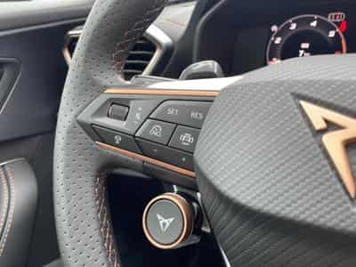 Cupra FORMENTOR 2.0 TDI 150 V DSG7 (2026) - Photo 12