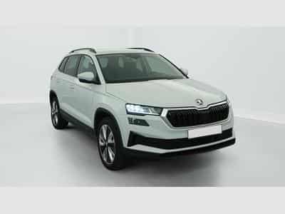 Skoda Karoq 2.0 TDI 116 ch SCR DSG7 Business (2024) - Foto 1