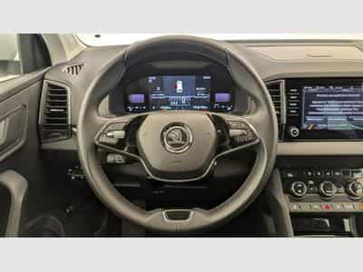Skoda Karoq 2.0 TDI 116 ch SCR DSG7 Business (2024) - Foto 14