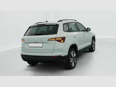 Skoda Karoq 2.0 TDI 116 ch SCR DSG7 Business (2024) - Foto 7