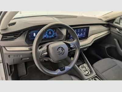Skoda Octavia 2.0 TDI 150 ch DSG7 Ambition (2024) - Foto 15