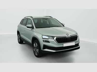 Skoda Karoq 2.0 TDI 116 ch SCR DSG7 Business (2023) - Foto 1