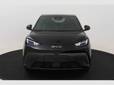 Byd Dolphin Surf Comfort (2025) - Foto 2