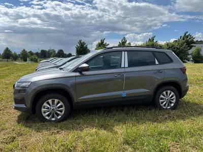 Skoda Karoq Selection (2026) - Foto 3