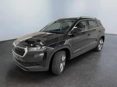 Skoda Karoq Selection (2026) - Foto 3
