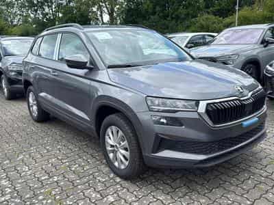 Skoda Karoq Selection (2026) - Foto 6