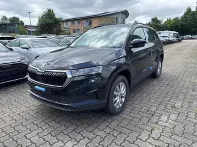 Skoda Karoq Selection (2026) - Photo 1