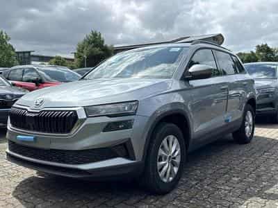Skoda Karoq Selection (2026) - Photo 1