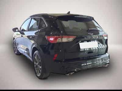 Ford Kuga (2026) - Foto 2