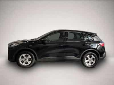 Ford Kuga (2026) - Photo 6