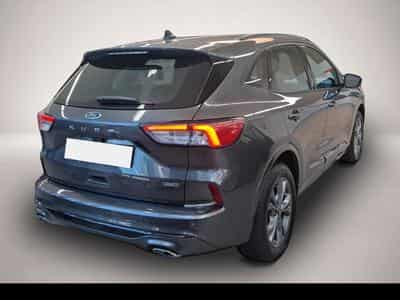 Ford Kuga (2026) - Photo 3