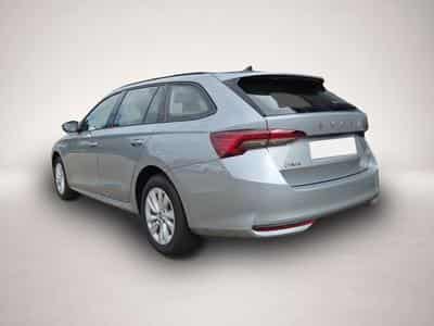Skoda Octavia (2026) - Foto 3