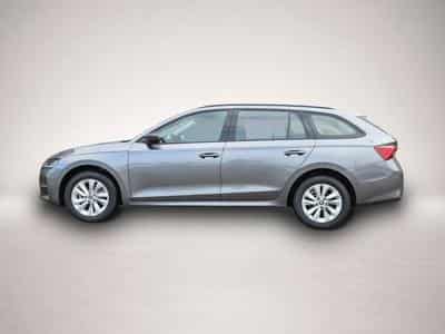 Skoda Octavia (2026) - Foto 2