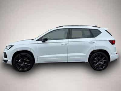 Cupra Ateca (2026) - Foto 3