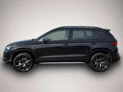 Cupra Ateca (2026) - Foto 3