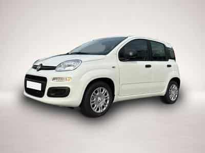 Fiat Panda (2026) - Foto 1