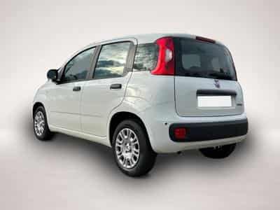 Fiat Panda (2026) - Foto 2