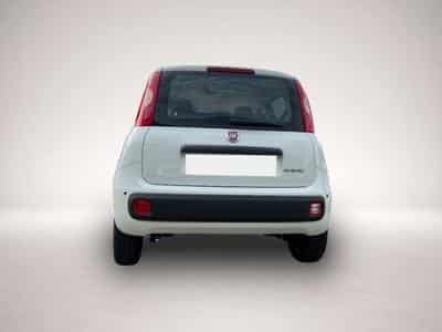 Fiat Panda (2026) - Foto 3