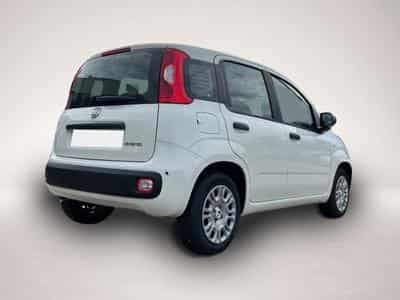 Fiat Panda (2026) - Foto 4