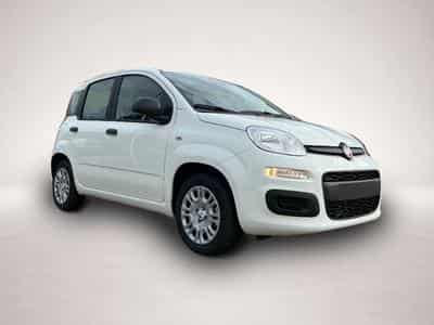 Fiat Panda (2026) - Foto 5