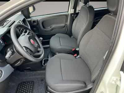Fiat Panda (2026) - Foto 7