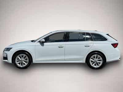 Skoda Octavia (2025) - Foto 3
