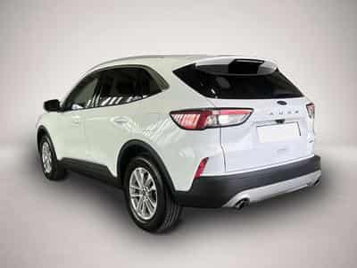 Ford Kuga (2026) - Foto 2