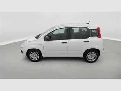 Fiat Panda 1.0i MHEV Icon 5p. CLIM / BLUETOOTH / PDC AR (2026) - Photo 3
