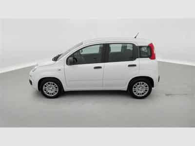 Fiat Panda 1.0i MHEV City Life CLIM / PDC AR (2026) - Photo 3