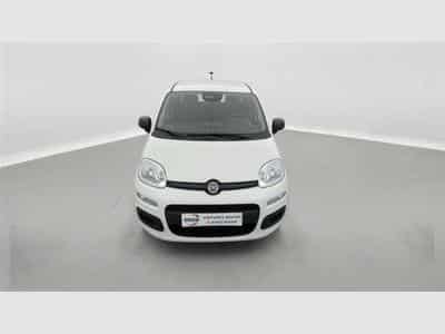 Fiat Panda 1.0i MHEV City Life CLIM / PDC AR (2026) - Photo 4