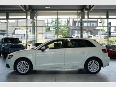 Audi A3 2.0 TDI ambiente quattro *1.Hand *AHK *Pano (2014) - Photo 9