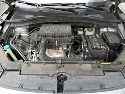 Mg ZS Comfort (2023) - Photo 7