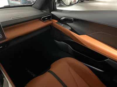 Lotus Emira 2.0 First Edition DCT (2024) - Photo 9