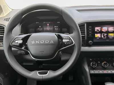 Skoda Karoq Selection (2026) - Foto 7