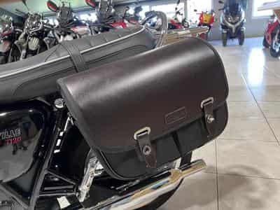 Triumph Bonneville 1200 cc (2025) - Photo 6
