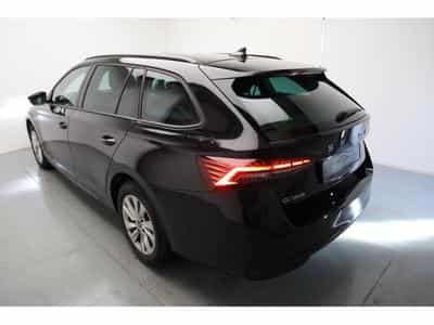 Skoda Octavia Selection (2025) - Photo 3