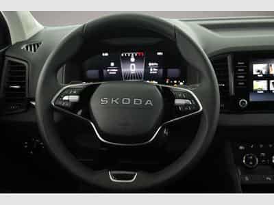 Skoda Karoq (2026) - Foto 6
