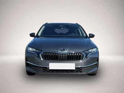 Skoda Octavia (2026) - Foto 2
