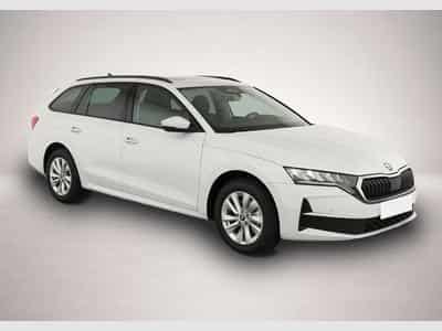 Skoda Octavia (2026) - Photo 2