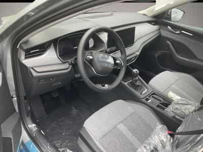 Skoda Octavia (2026) - Foto 2