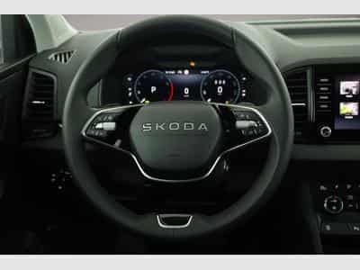 Skoda Karoq (2026) - Foto 6