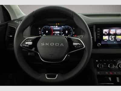Skoda Karoq (2026) - Photo 6