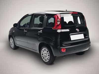 Fiat Panda (2026) - Foto 3