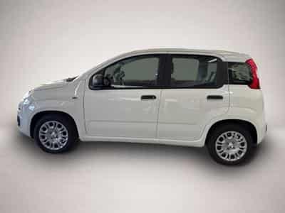 Fiat Panda (2026) - Foto 2