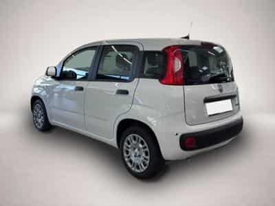Fiat Panda (2026) - Foto 3
