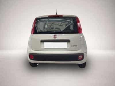 Fiat Panda (2026) - Foto 4