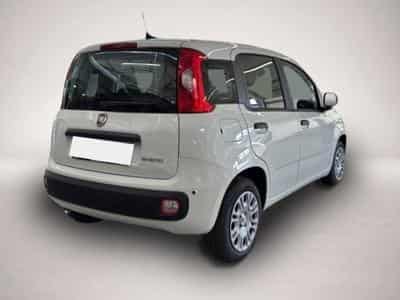 Fiat Panda (2026) - Foto 5
